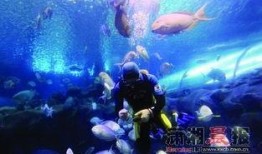 一线吃瓜娱乐圈海底见月,一线“吃瓜”达人海底探月，揭秘娱乐圈幕后真相