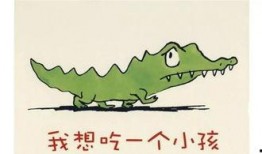 娱乐吃瓜 小故事视频大全,娱乐吃瓜小故事视频集锦