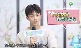 吃瓜娱乐圈吴磊,娱乐圈的瓜田新秀，青春活力演绎无限可能