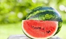 吃瓜娱乐园,娱乐圈幕后故事大公开