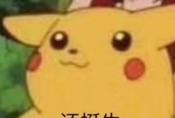 皮卡丘娱乐圈吃瓜