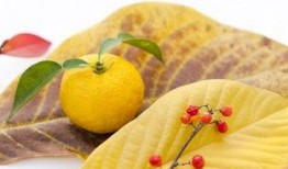 柚子娱乐吃瓜,揭秘娱乐圈最新吃瓜事件，带你领略明星幕后故事