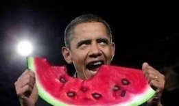 吃瓜娱乐太太是谁,她是谁？在娱乐圈有何影响力？