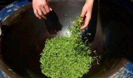 娱乐吃瓜蜀黍海苔咪,揭秘娱乐圈幕后故事