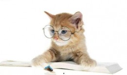 娱乐吃瓜君小猫咪,揭秘娱乐圈那些不为人知的幕后故事