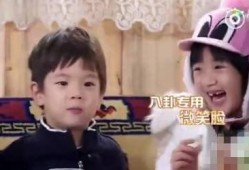 娱乐吃瓜星人是谁,揭秘娱乐圈幕后风云的神秘人物