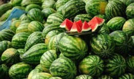 娱乐吃瓜酱农村小名,一场别开生面的乡村趣味故事