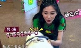 娱乐吃瓜酱笑声视频,笑破天际！娱乐吃瓜酱笑声视频走红网络