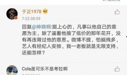 娱乐圈吃瓜爆料连载小说,揭秘明星背后的秘密与真相