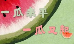 娱乐吃瓜 小故事视频大全,娱乐吃瓜小故事视频集锦