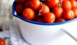 娱乐吃瓜丫西红柿,揭秘西红柿背后的故事