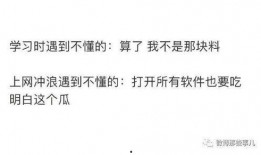 娱乐吃瓜配文小说推荐知乎